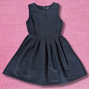 Aritzia Talula Black Sleeveless Waldorf Dress with Pockets. Size 4